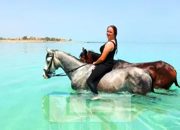 Horseback riding in Hurghada: Horseback riding on the beach or in the desert photo